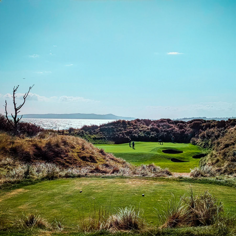 Dublin and East golf picture 1